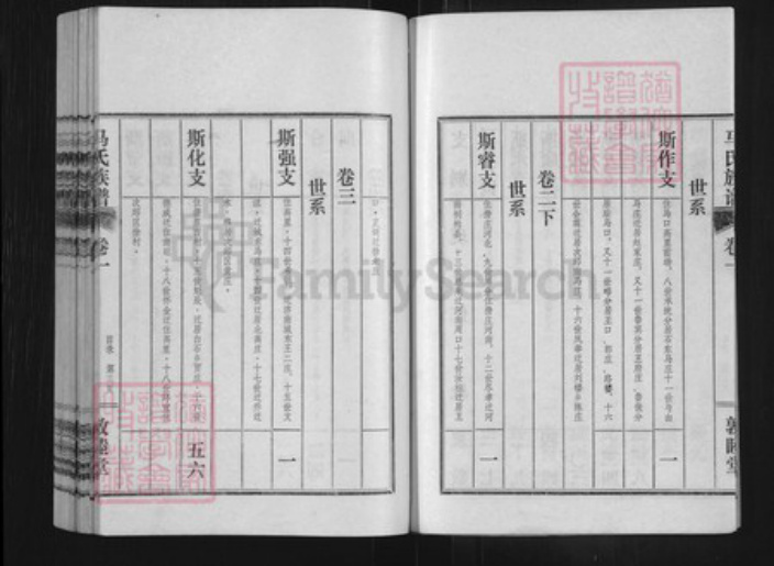 山东省济宁市汶上县次丘镇马氏敦睦堂族谱-汶邑马氏族谱.pdf电子版插图4