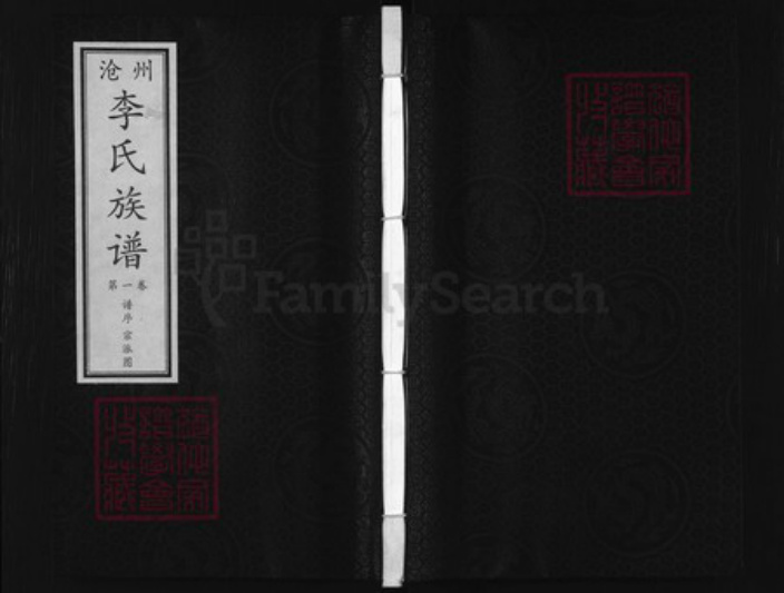 河北省沧州沧州地区南皮李氏族谱-沧州李氏族谱.pdf电子版插图