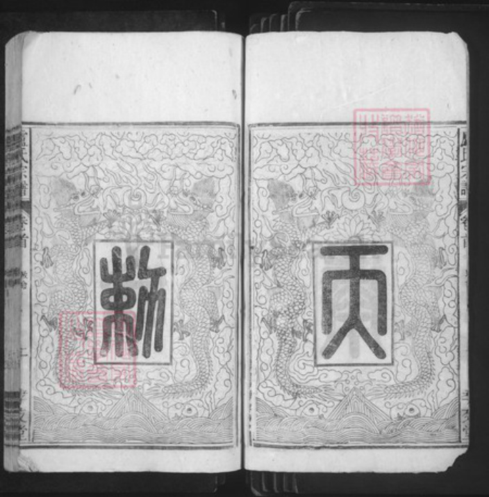 安徽省安庆市太湖县卢氏孝友堂族谱-卢氏宗谱.pdf电子版插图3