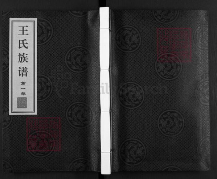 山东省德州市武城县王氏族谱-王氏族谱.pdf电子版