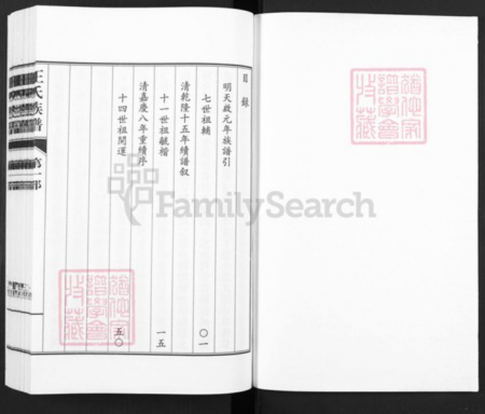 山东省德州市武城县王氏族谱-王氏族谱.pdf电子版插图1