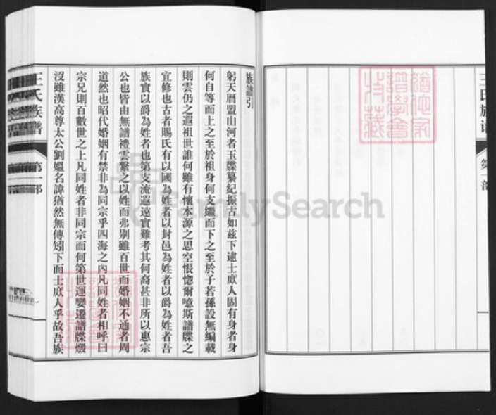 山东省德州市武城县王氏族谱-王氏族谱.pdf电子版插图2