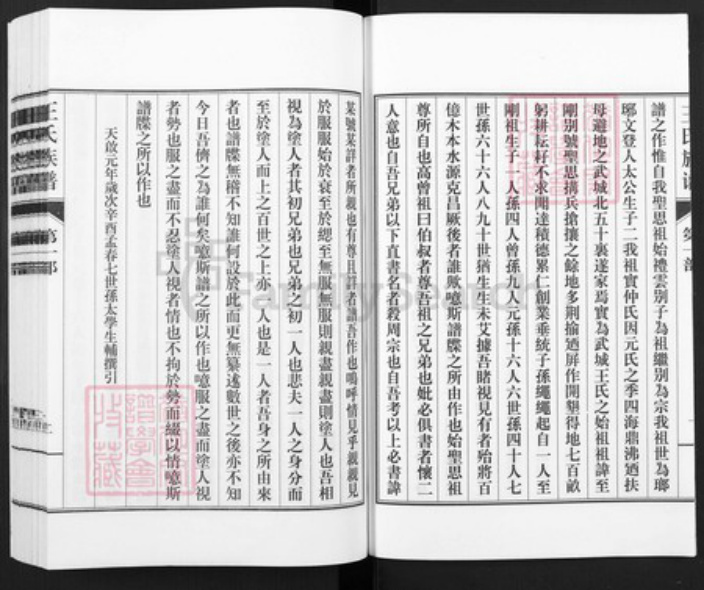 山东省德州市武城县王氏族谱-王氏族谱.pdf电子版插图3