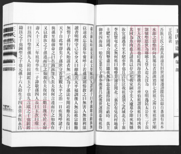 山东省德州市武城县王氏族谱-王氏族谱.pdf电子版插图4