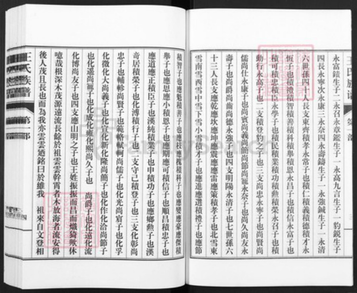 山东省德州市武城县王氏族谱-王氏族谱.pdf电子版插图5