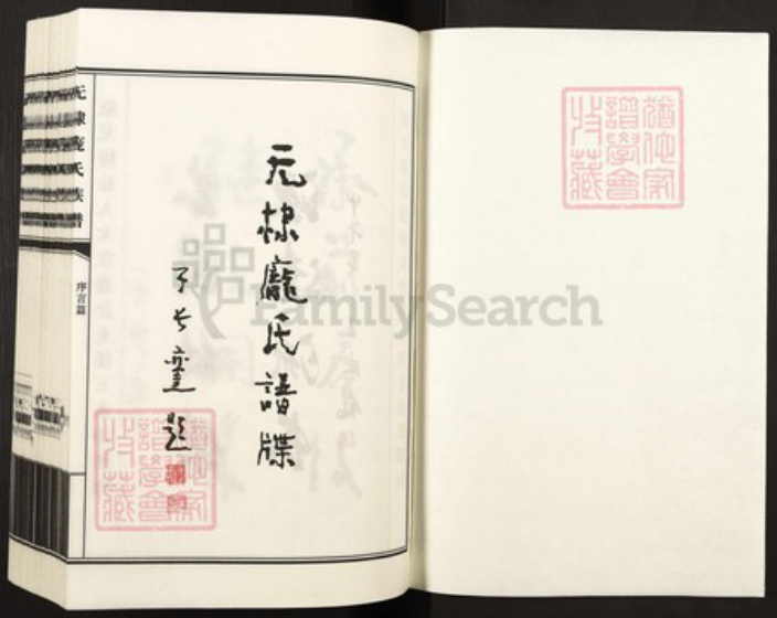 山东省滨州市无棣县庞氏族谱-无棣庞氏谱牒.pdf电子版插图1