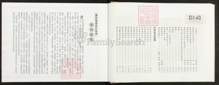 福建省莆田市秀屿区东峤镇#REF!林氏族谱-莆田南渚林氏族谱.pdf电子版插图4