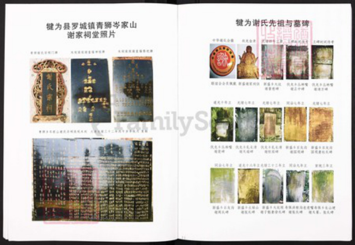 四川省乐山市市中区苏稽镇谢氏安晋堂族谱-犍为县谢氏族谱.pdf电子版插图4