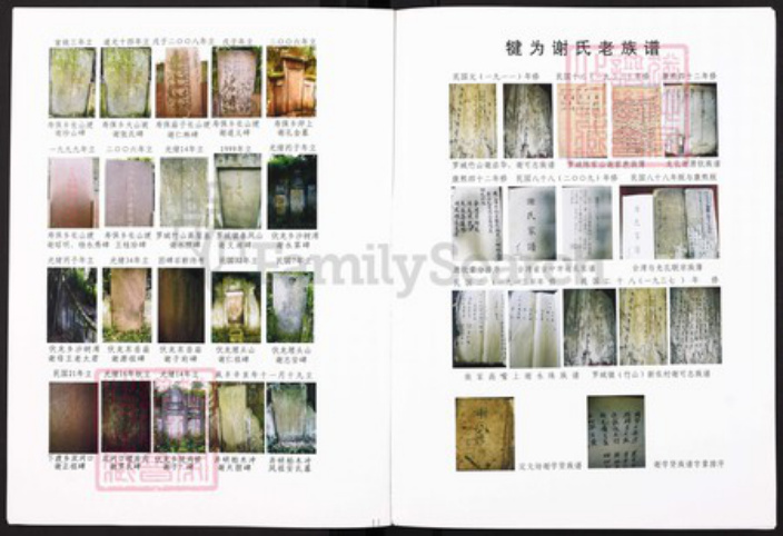 四川省乐山市市中区苏稽镇谢氏安晋堂族谱-犍为县谢氏族谱.pdf电子版插图5