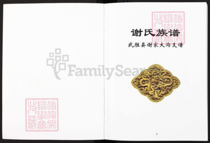 四川省广安市武胜县沿口镇谢氏宝树堂族谱-谢氏族谱.武胜县谢家大沟支谱.pdf电子版插图1