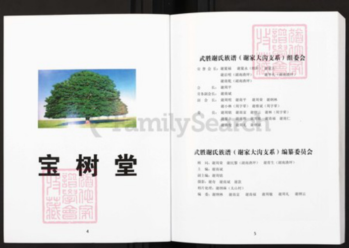 四川省广安市武胜县沿口镇谢氏宝树堂族谱-谢氏族谱.武胜县谢家大沟支谱.pdf电子版插图3