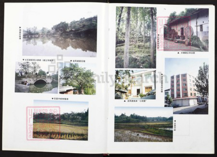 四川省达州市大竹县重庆市垫江县桂溪街道谢;谢氏族谱-垫江谢氏志.pdf电子版插图5 四川省达州市大竹县重庆市垫江县桂溪街道谢;谢氏族谱-垫江谢氏志.pdf电子版插图5