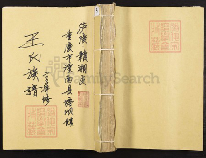 重庆市潼南区塘坝镇王氏族谱-王氏族谱.庐陵赣湘支.pdf电子版