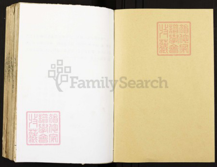 重庆市潼南区塘坝镇王氏族谱-王氏族谱.庐陵赣湘支.pdf电子版插图1