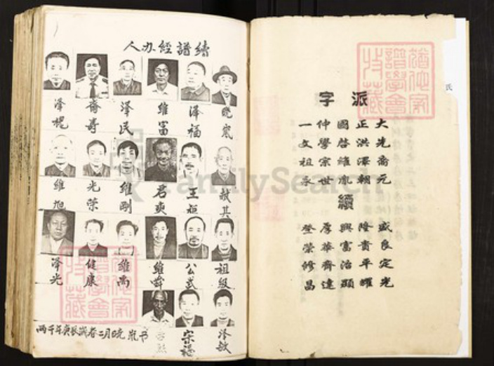 重庆市潼南区塘坝镇王氏族谱-王氏族谱.庐陵赣湘支.pdf电子版插图3