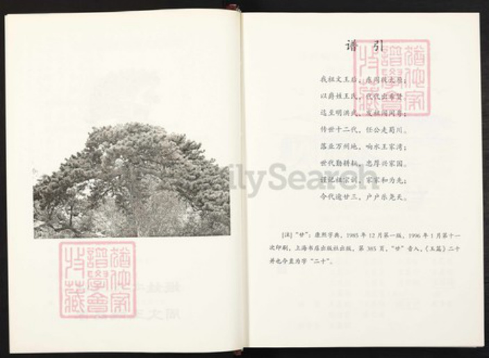 重庆市万州万县响水镇王氏族谱-王氏家谱.pdf电子版插图4 重庆市万州万县响水镇王氏族谱-王氏家谱.pdf电子版插图4