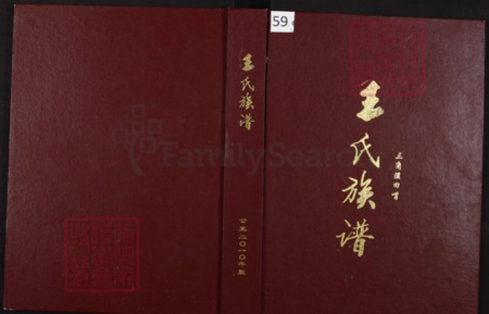 重庆市綦江区王氏族谱-王氏族谱.pdf电子版插图 重庆市綦江区王氏族谱-王氏族谱.pdf电子版插图