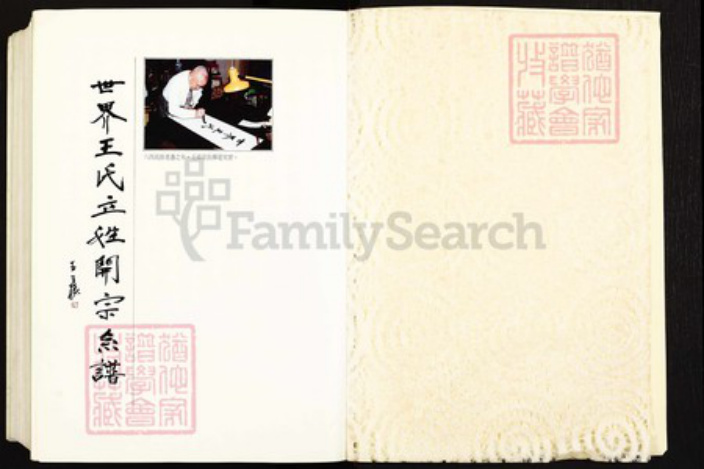 湖北省武汉市江岸区台北街道王氏族谱-世界王氏立姓开宗系谱.pdf电子版插图2