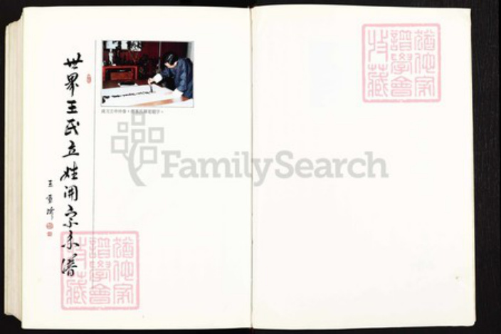 湖北省武汉市江岸区台北街道王氏族谱-世界王氏立姓开宗系谱.pdf电子版插图3