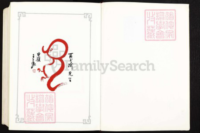 湖北省武汉市江岸区台北街道王氏族谱-世界王氏立姓开宗系谱.pdf电子版插图4