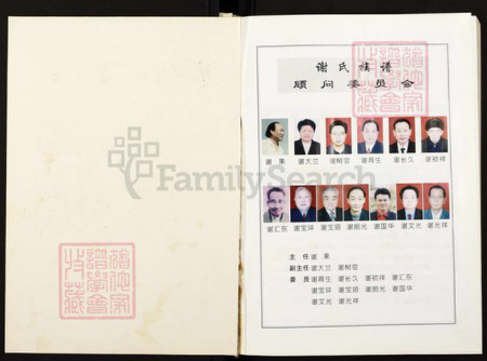 四川省绵阳市四川省巴中市恩阳区渔溪镇谢；谢氏宝树堂族谱-谢氏族谱.pdf电子版插图2