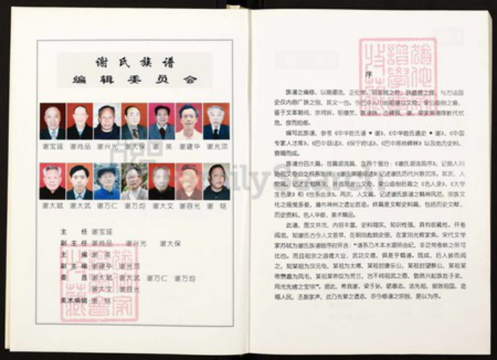 四川省绵阳市四川省巴中市恩阳区渔溪镇谢；谢氏宝树堂族谱-谢氏族谱.pdf电子版插图3