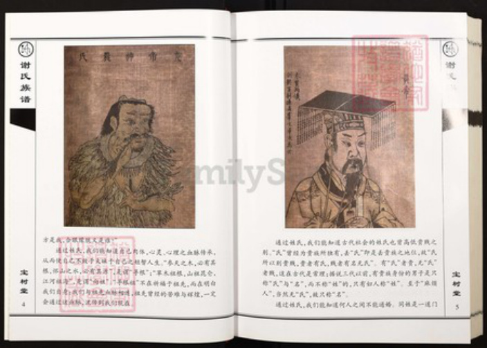 贵州省遵义市桐梓县贵州省遵义市桐梓县风水镇谢；谢氏宝树堂族谱-贵州桐梓谢氏族谱.pdf电子版插图5