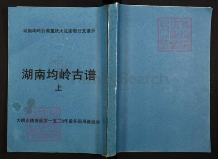 湖南省郴州市宜章县赤石乡谢氏族谱-湖南均岭后裔重庆大足谢彀公支谱系湖南均岭古谱.pdf电子版
