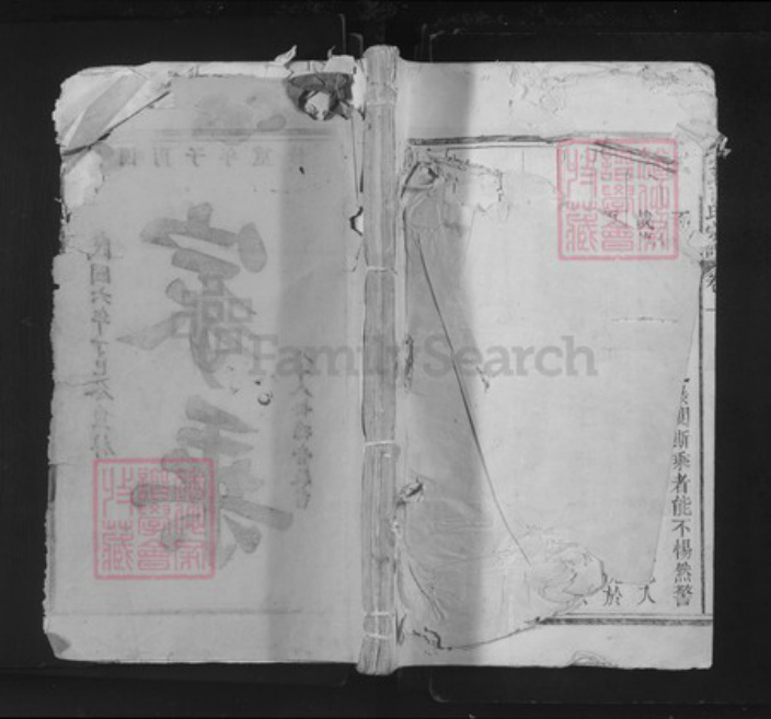 江西省景德镇市乐平市后港镇石氏族谱-武威石氏宗谱.pdf电子版