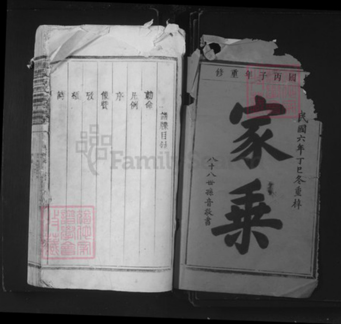 江西省景德镇市乐平市后港镇石氏族谱-武威石氏宗谱.pdf电子版插图1