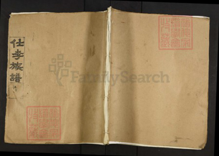 湖北省孝感市孝南区闵集乡李氏族谱-仕李族谱.pdf电子版