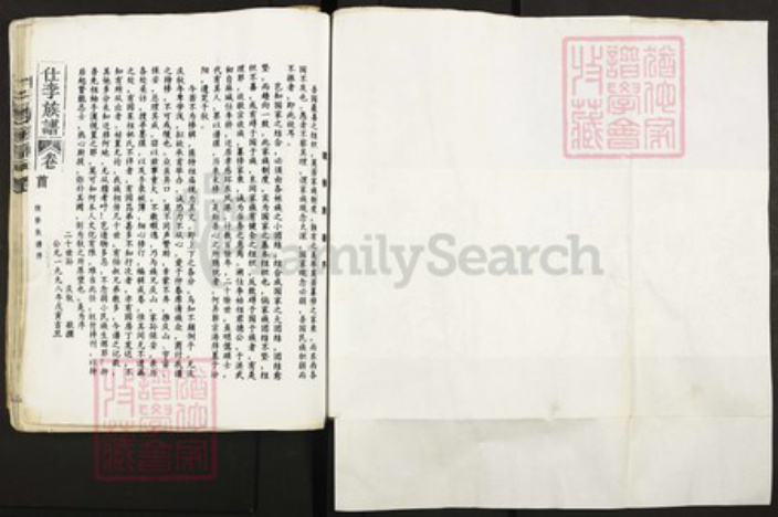 湖北省孝感市孝南区闵集乡李氏族谱-仕李族谱.pdf电子版插图3