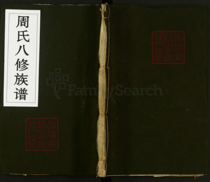 湖南省益阳市周氏族谱-周氏八修族谱.pdf电子版插图