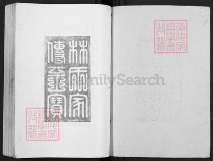 江西省赣州市于都县罗江乡林氏济南堂族谱-雩林五次迭修族谱.pdf电子版插图1