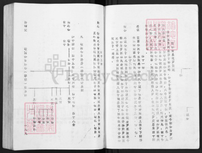 江西省赣州市于都县罗江乡林氏济南堂族谱-雩林五次迭修族谱.pdf电子版插图3