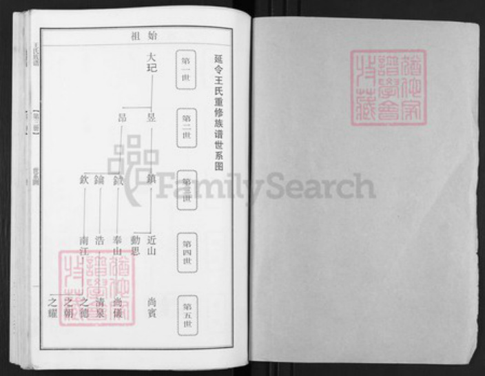 江苏省泰州市泰兴市王氏族谱-延令王氏重修族谱.pdf电子版插图1