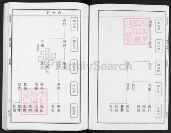 江苏省泰州市泰兴市王氏族谱-延令王氏重修族谱.pdf电子版插图2