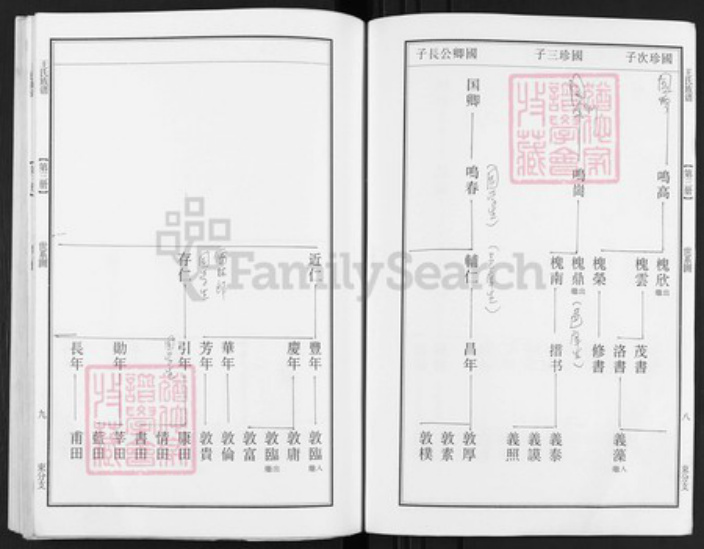 江苏省泰州市泰兴市王氏族谱-延令王氏重修族谱.pdf电子版插图5