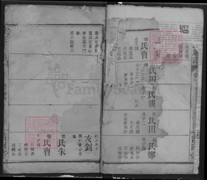 湖北省武汉市汉阳区张氏清河堂族谱-张氏族谱.pdf电子版插图1