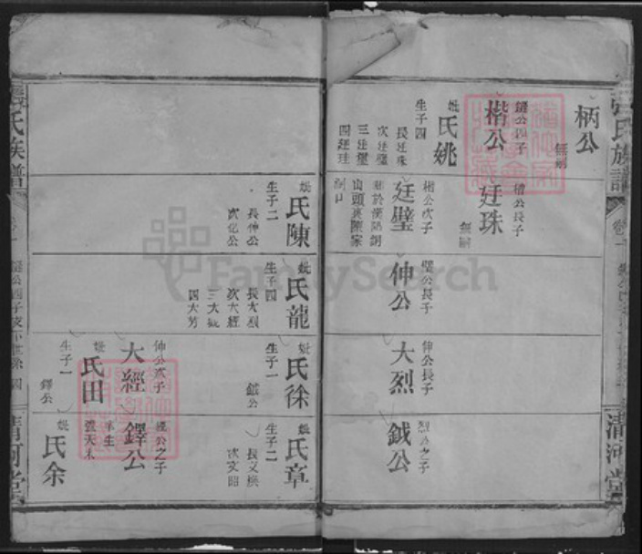 湖北省武汉市汉阳区张氏清河堂族谱-张氏族谱.pdf电子版插图3