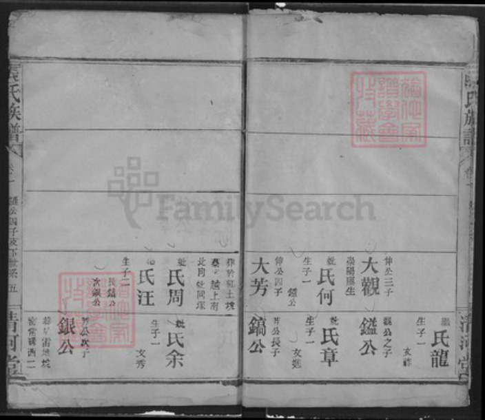 湖北省武汉市汉阳区张氏清河堂族谱-张氏族谱.pdf电子版插图4