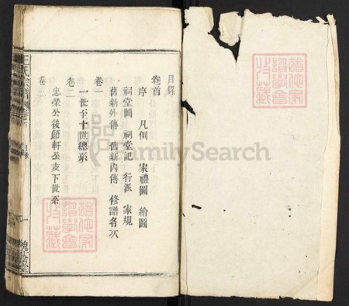 安徽省安庆市太湖县江塘乡王氏槐荫堂族谱-王氏宗谱.pdf电子版插图1