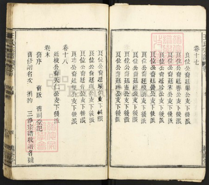 安徽省安庆市太湖县江塘乡王氏槐荫堂族谱-王氏宗谱.pdf电子版插图4