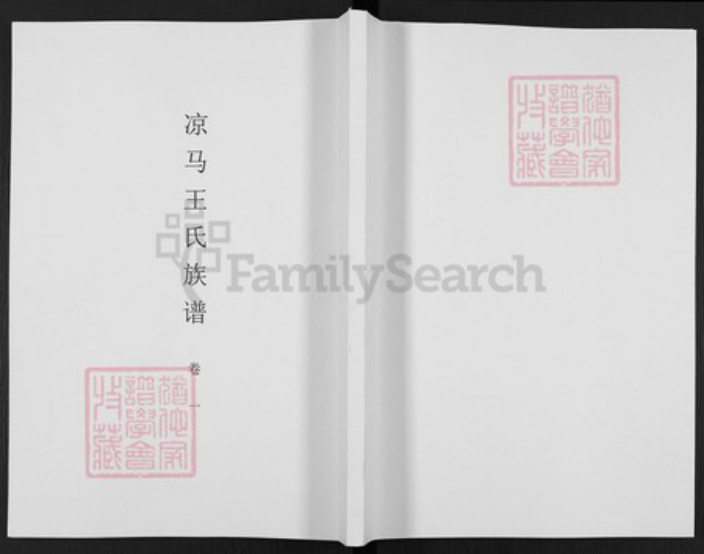 陕西省咸阳市醴泉县礼泉王氏族谱-凉马王氏族谱.pdf电子版插图