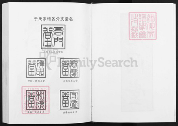 江苏省淮安市淮阴区江苏省淮安市淮阴区于氏高门堂族谱-于氏家谱.pdf电子版插图2