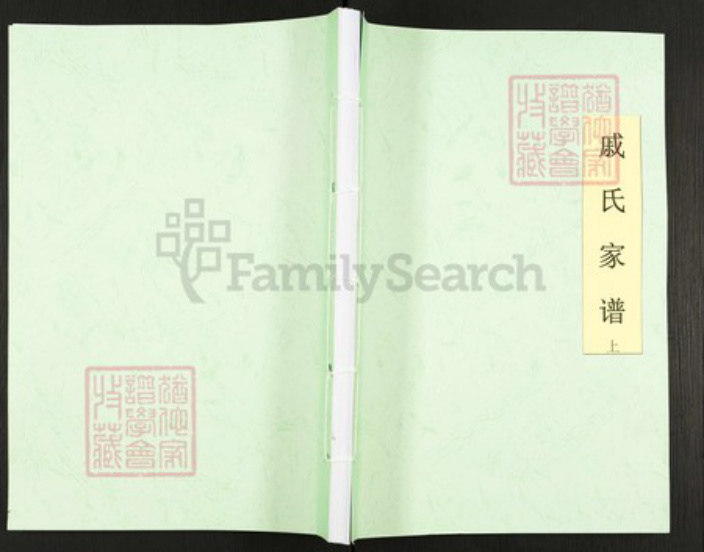 重庆市忠县戚氏族谱-戚氏家谱.pdf电子版插图