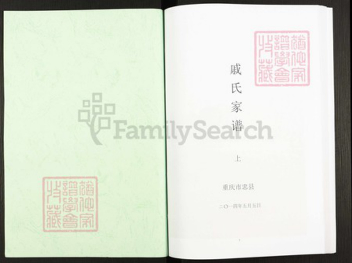 重庆市忠县戚氏族谱-戚氏家谱.pdf电子版插图1