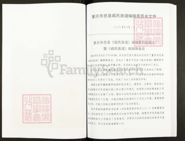 重庆市忠县戚氏族谱-戚氏家谱.pdf电子版插图3