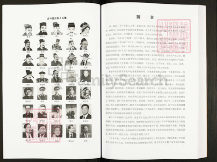 四川省绵阳市安县傅氏族谱-中华傅姓.pdf电子版插图4