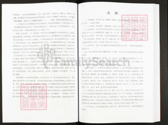 四川省绵阳市安县傅氏族谱-中华傅姓.pdf电子版插图5